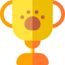 award icon