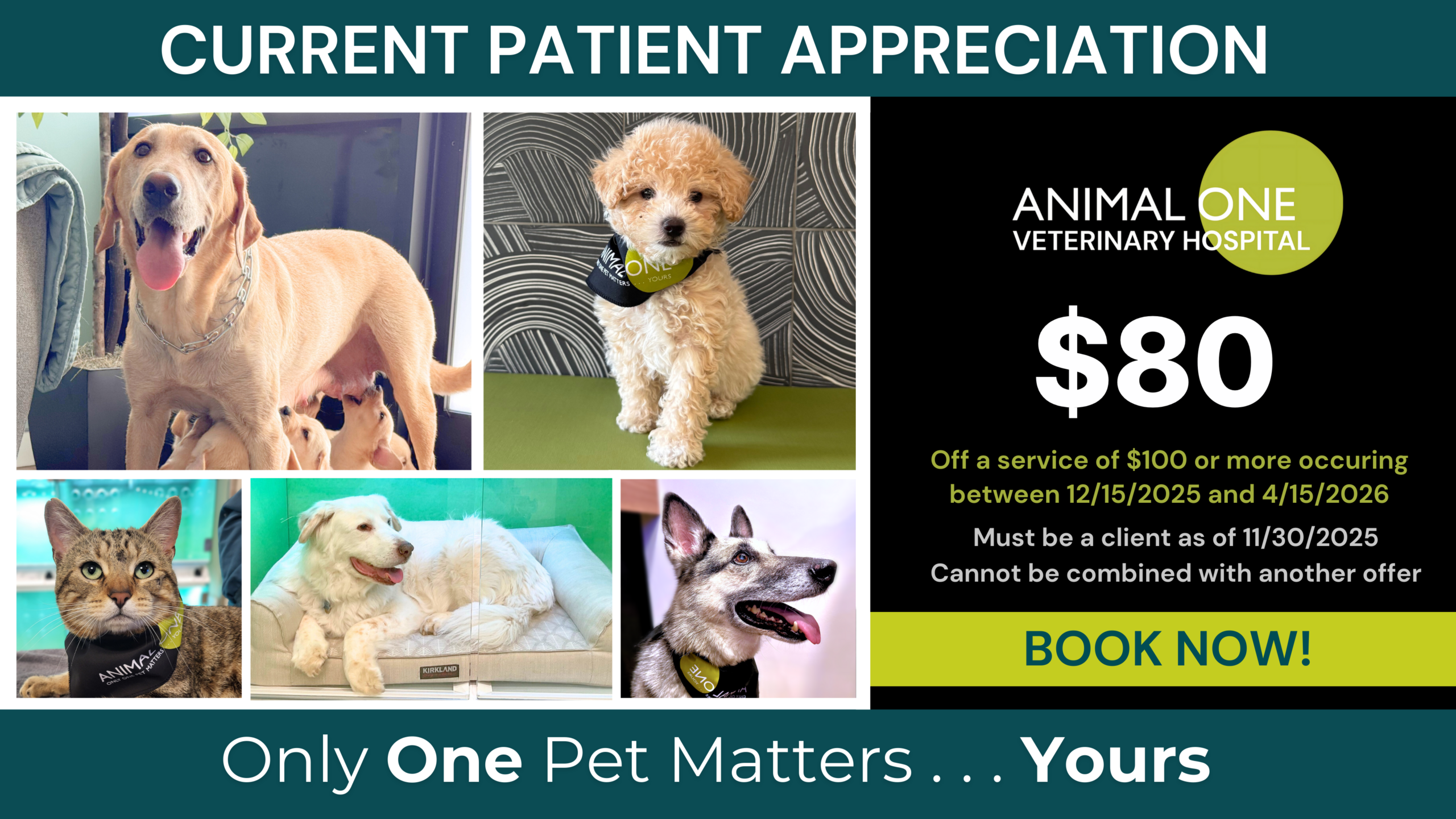 Current Patient Promotion