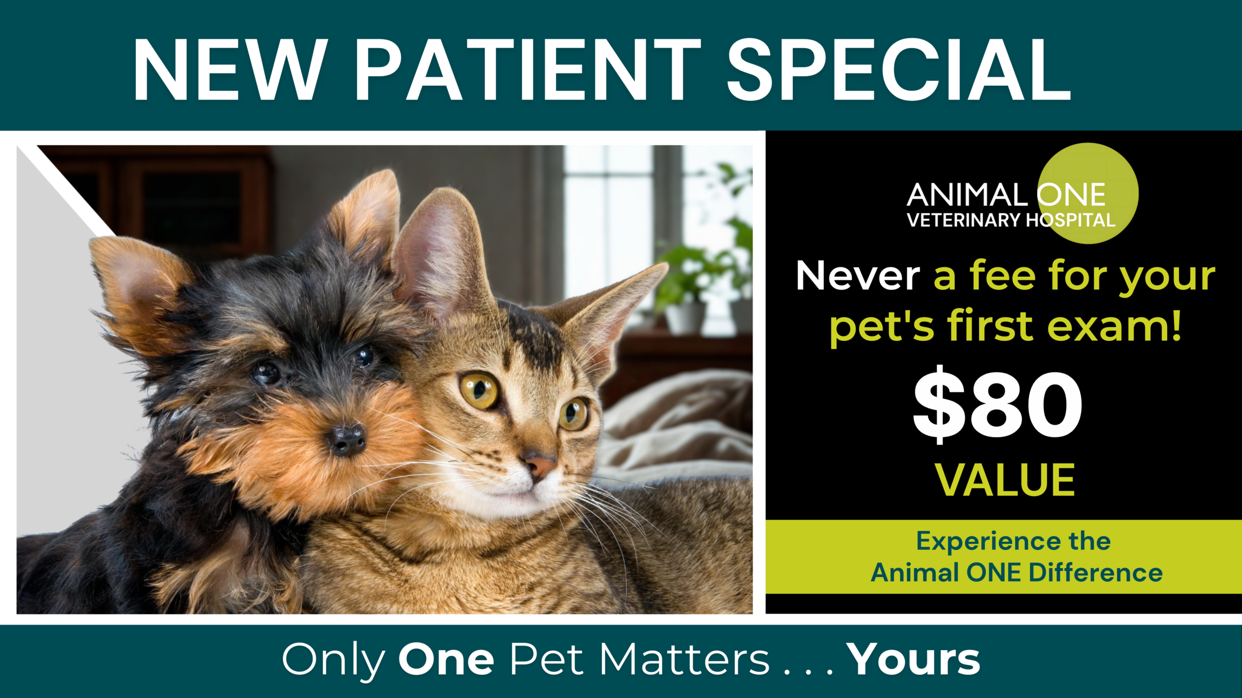 New Patient Promotion